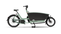 Urban Arrow Family Next Advanced