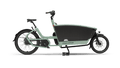 Urban Arrow Family Next Advanced - Grauwelman Tweewielers